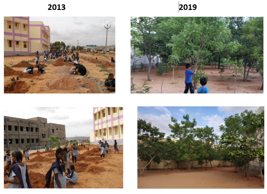 Saplings to trees in Ananthapur - Anuta Employee CSR